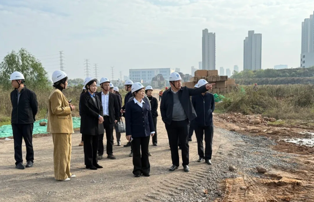 王文带队调研红园公司