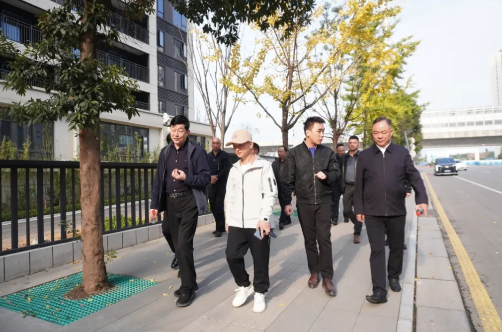 开福区人大常委会党组成员、副主任陈志兴带队走访向江徕项目