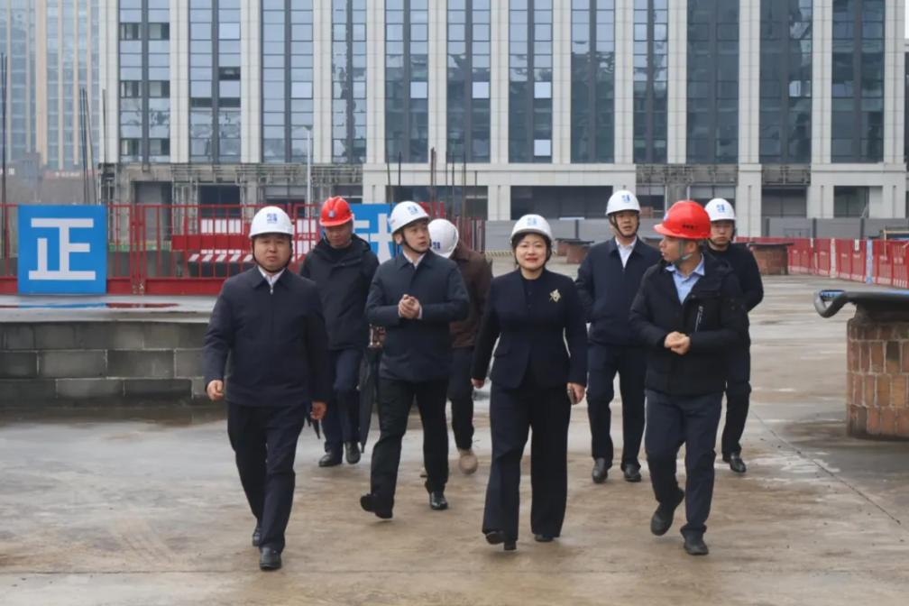 王文带队调研领创、领峰公司