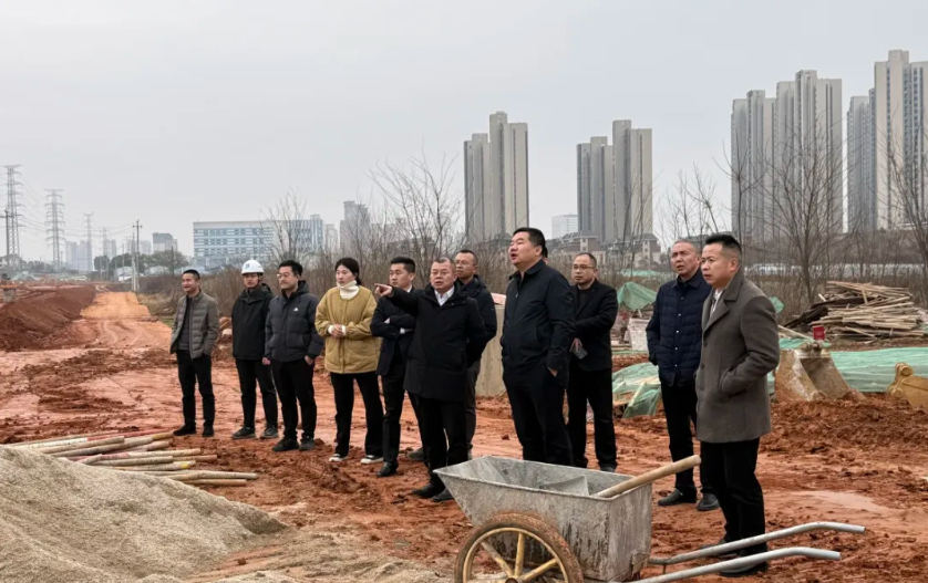 阳继承带队调研春风十里项目