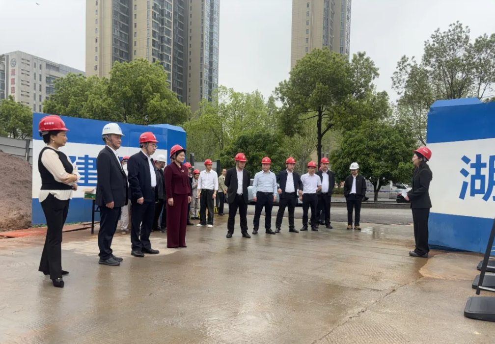 谭民俊带队调研湖南建投·云玺台项目